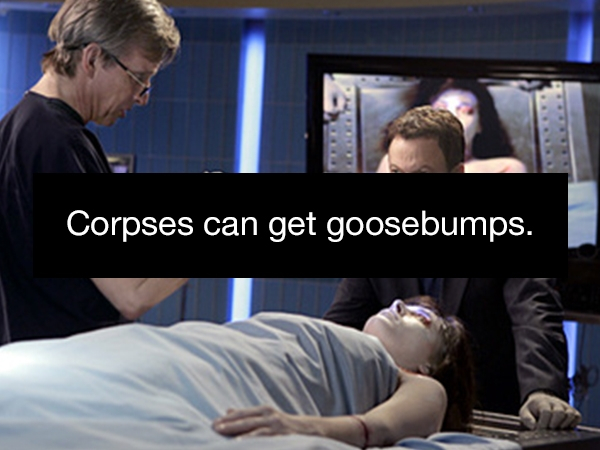 csi ny past imperfect - Corpses can get goosebumps.