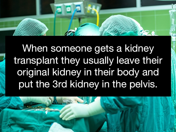 human behavior - When someone gets a kidney transplant they usually leave their original kidney in their body and put the 3rd kidney in the pelvis.