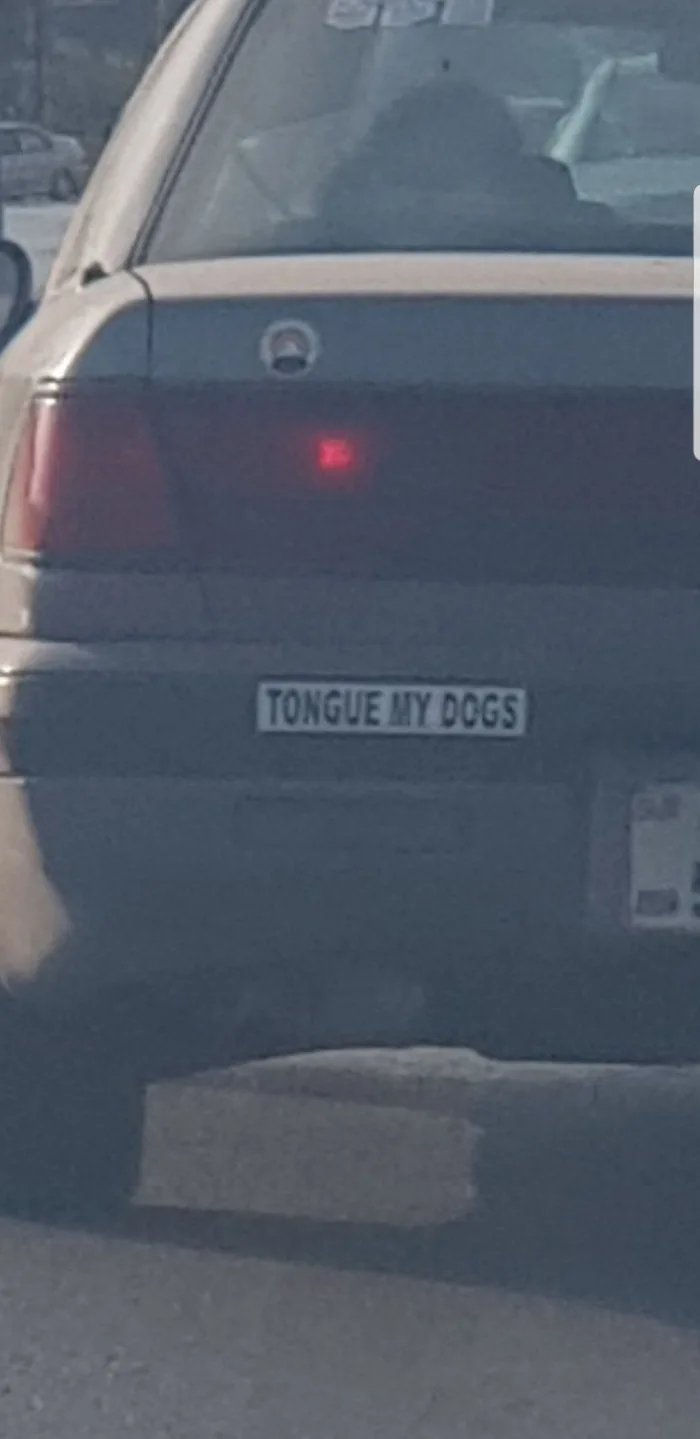 vehicle door - Tongue My Dogs