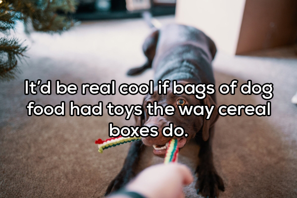 It'd be real cool if bags of dog food had toys the way cereal boxes do.