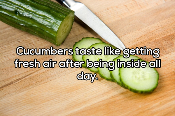 cucumber a fruit or a vegetable - Cucumbers taste getting fresh air after being inside all day.
