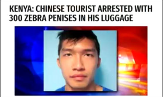 chinese tourist arrested in kenya - Kenya Chinese Tourist Arrested With 300 Zebra Penises In His Luggage
