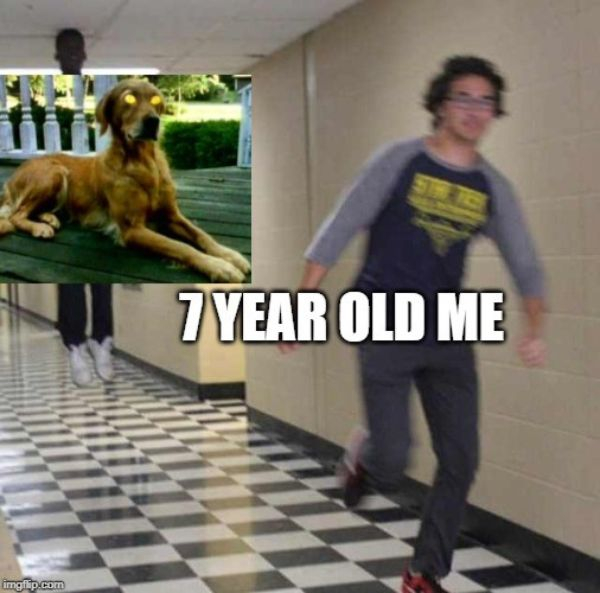 chapter 2 memes - 7 Year Old Me imgflip.com