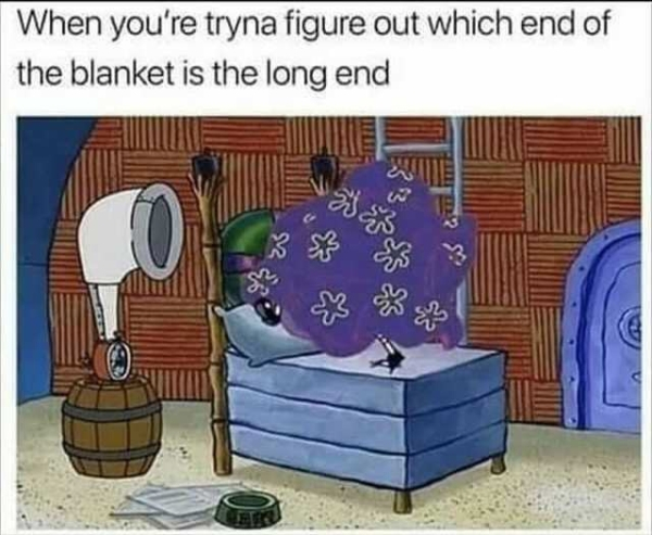 teally funny memes - When you're tryna figure out which end of the blanket is the long end