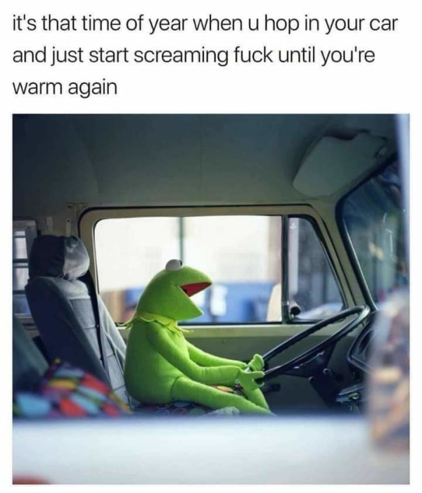 kermit the frog driving a truck - it's that time of year when u hop in your car and just start screaming fuck until you're warm again