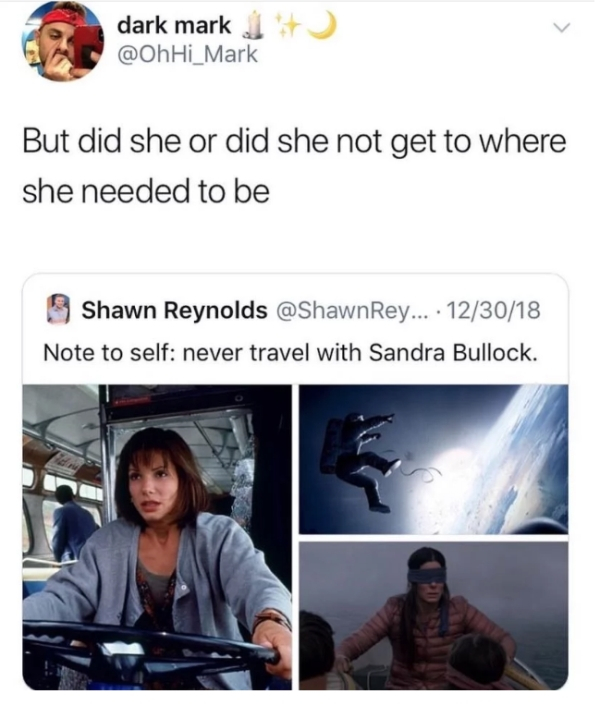 sandra bullock bird box meme - dark mark But did she or did she not get to where she needed to be Shawn Reynolds ... 123018 Note to self never travel with Sandra Bullock.