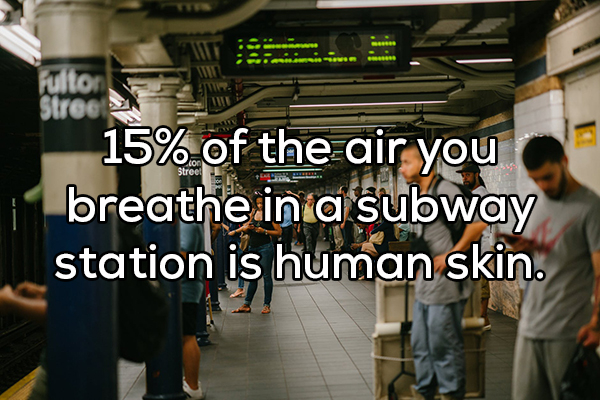 photography commuting - 15% of the air you breathe in a subway station is human skin.