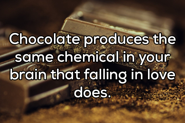 Dark chocolate - Chocolate produces the same chemical in your brain that falling in love does.