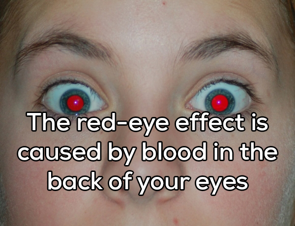 close up - The redeye effect is caused by blood in the back of your eyes