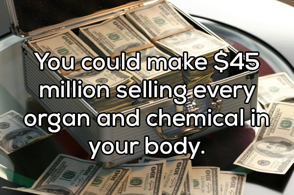 money in car - You could make $45 million selling every organ and chemical in your body. Lulus IS200626H Ool ry Suvtoser