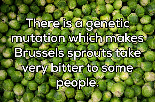 brussel sprouts - There is a genetic mutation which makes Brussels sprouts take very bitter to some people.