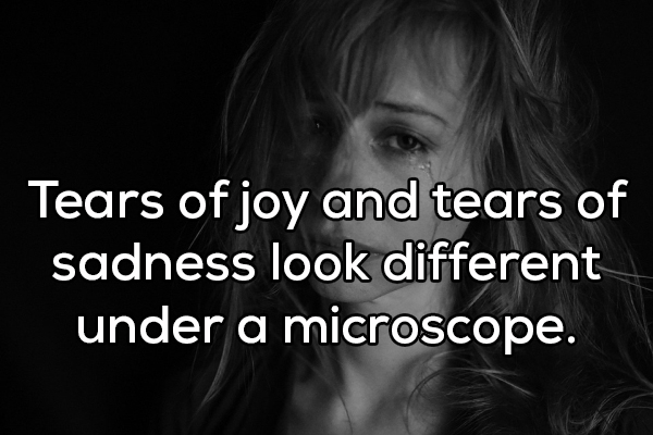 monochrome photography - Tears of joy and tears of sadness look different under a microscope.