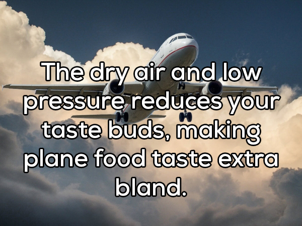 sky - The dry air and low pressure reduces your taste buds, making plane food taste extra bland.
