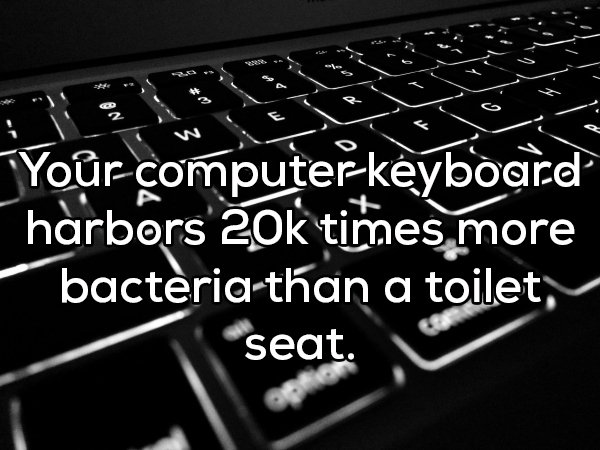 computer keyboard - "Yor computer keyboard harbors ok times more bacteriathan a toilet, seat.