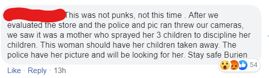 point - This was not punks, not this time. After we evaluated the store and the police and pic ran threw our cameras, we saw it was a mother who sprayed her 3 children to discipline her children. This woman should have her children taken away. The police 