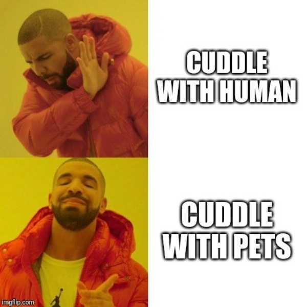 valve index meme - Cuddle With Human Cuddle With Pets imgflip.com