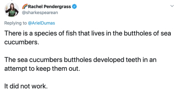 document - Rachel Pendergrass There is a species of fish that lives in the buttholes of sea cucumbers. The sea cucumbers buttholes developed teeth in an attempt to keep them out. It did not work.