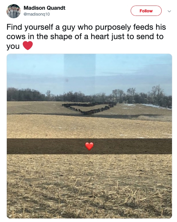 relationship memes- Madison Quandt Find yourself a guy who purposely feeds his cows in the shape of a heart just to send to you