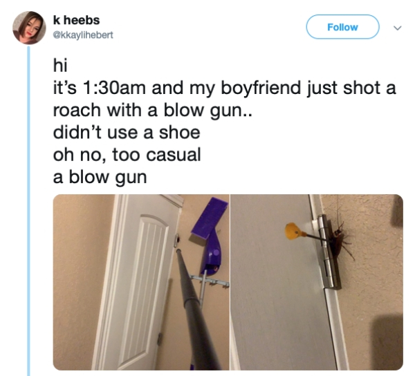 relationship memes- k heebs hi it's am and my boyfriend just shot a roach with a blow gun.. didn't use a shoe oh no, too casual a blow gun