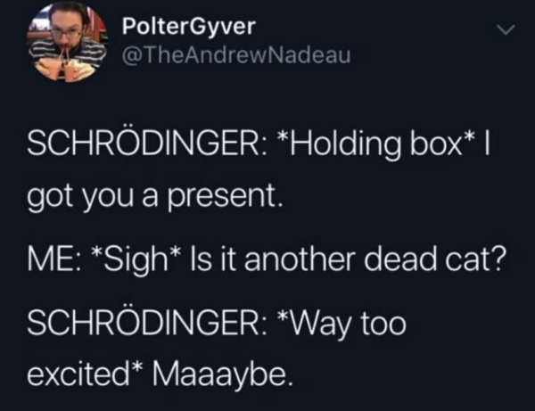 presentation - PolterGyver Schrdinger Holding box || got you a present. Me Sigh Is it another dead cat? Schrdinger Way too excited Maaaybe.