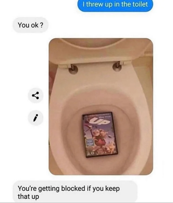 threw up in the toilet meme - I threw up in the toilet You ok? You're getting blocked if you keep that up