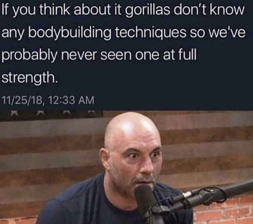 joe rogan gorilla meme - If you think about it gorillas don't know any bodybuilding techniques so we've probably never seen one at full strength. 112518,