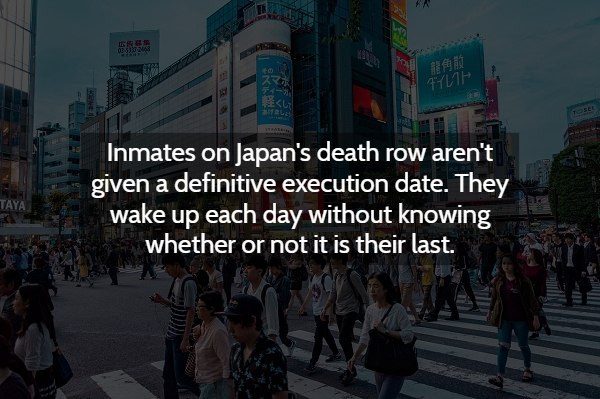 End 13 T11 Inmates on Japan's death row aren't given a definitive execution date. They wake up each day without knowing whether or not it is their last.