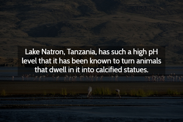sky - Lake Natron, Tanzania, has such a high pH level that it has been known to turn animals that dwell in it into calcified statues.