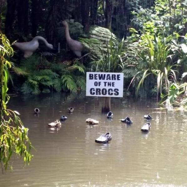 croc shoe in water - Beware Of The Crocs