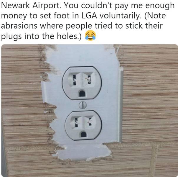 animal - Newark Airport. You couldn't pay me enough money to set foot in Lga voluntarily. Note abrasions where people tried to stick their plugs into the holes.