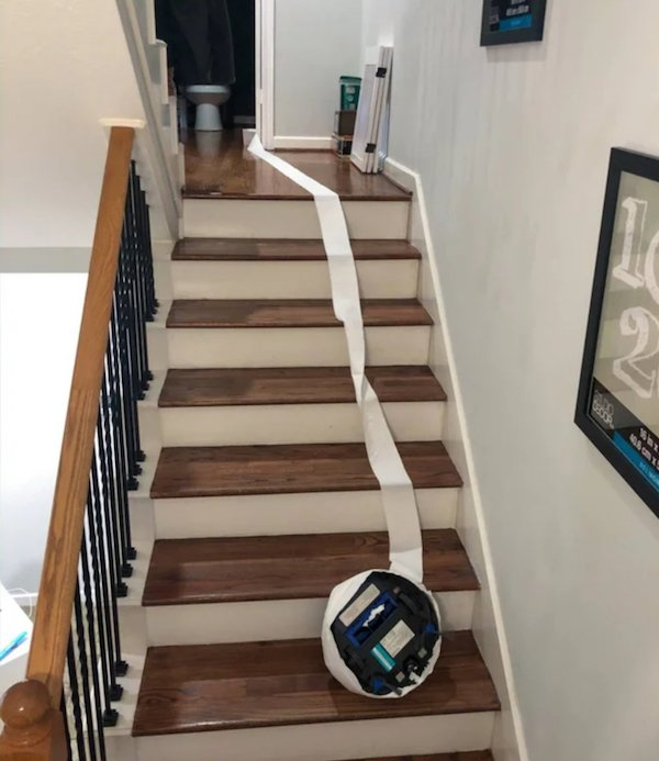 roomba suicide