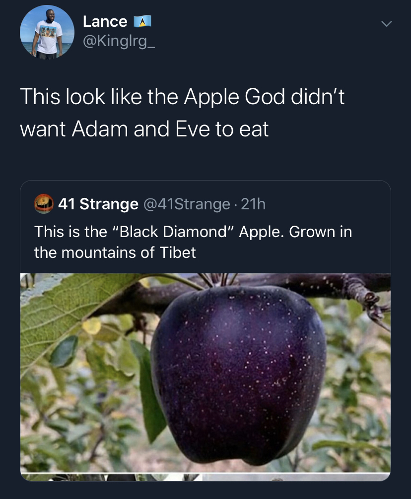 black diamond apple seeds - Lance A This look the Apple God didn't want Adam and Eve to eat 41 Strange . 21h This is the "Black Diamond" Apple. Grown in the mountains of Tibet