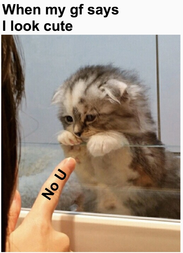 kitty memes - When my gf says I look cute No U