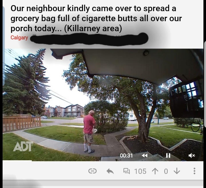 tree - Our neighbour kindly came over to spread a grocery bag full of cigarette butts all over our porch today... Killarney area Calgary Ad 21 105 10