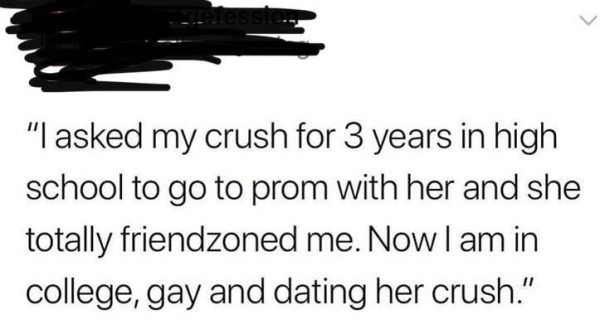dont trust girls - Lees.sic "I asked my crush for 3 years in high school to go to prom with her and she totally friendzoned me. Now I am in college, gay and dating her crush."