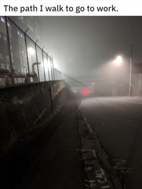 fog - The path I walk to go to work.