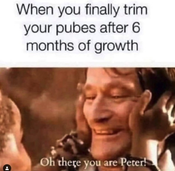 hook there you are peter - When you finally trim your pubes after 6 months of growth Oh there you are Peter!