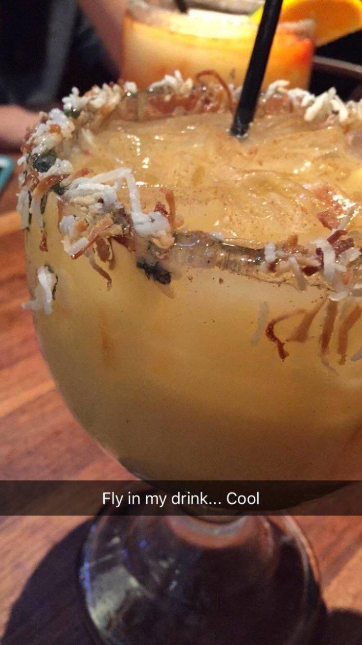 drink - Fly in my drink... Cool