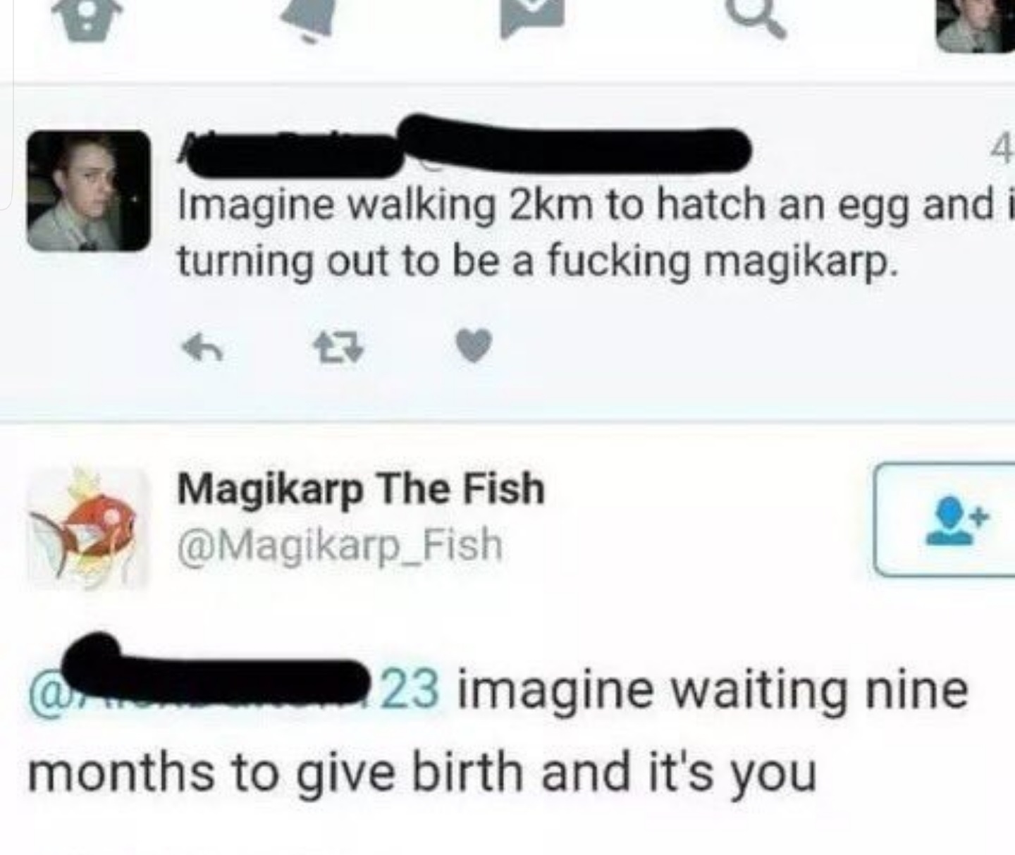 magikarp twitter - Imagine walking 2km to hatch an egg and i turning out to be a fucking magikarp. Magikarp The Fish 23 imagine waiting nine months to give birth and it's you