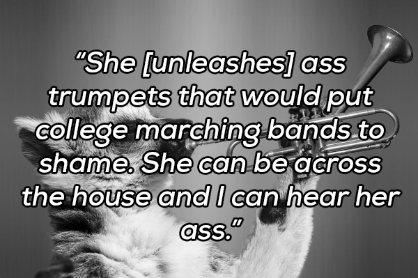 photo caption - "She unleashes ass trumpets that would put college marching bands to shame. She can be across the house and I can hear her ass."