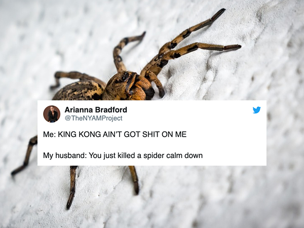 Arianna Bradford Me King Kong Ain'T Got Shit On Me My husband You just killed a spider calm down