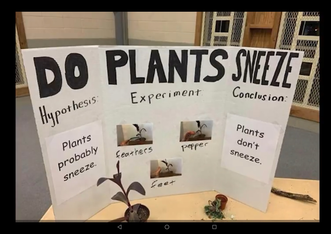 do plants sneeze diary of a wimpy kid - I ! Do Plants Sneeze Experiment Conclusion Hypothesis Plants don't Plants pepper feathers sneeze. probably sneeze. 0 0