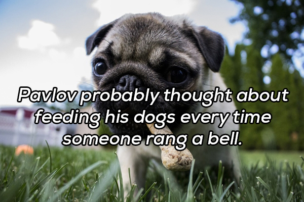 dogs bury bones - Pavlov probably thought about feeding his dogs every time someone rang a bell.