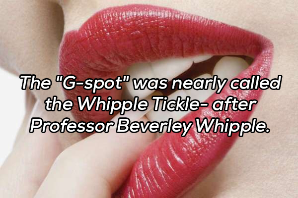 plump lips - The "Gspot" was nearly called the Whipple Tickle after Professor Beverley Whipple.