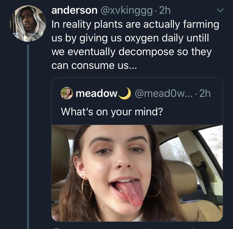 photo caption - anderson . 2h In reality plants are actually farming us by giving us oxygen daily untill we eventually decompose so they can consume us... meadow .... 2h What's on your mind?
