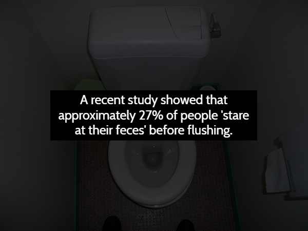 toilet - A recent study showed that approximately 27% of people stare at their feces' before flushing.