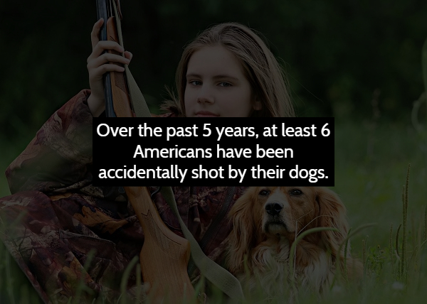 photo caption - Over the past 5 years, at least 6 Americans have been accidentally shot by their dogs.