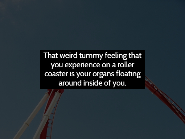 sky - That weird tummy feeling that you experience on a roller coaster is your organs floating around inside of you.