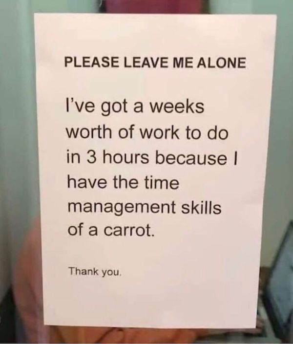 nailed it document - Please Leave Me Alone I've got a weeks worth of work to do in 3 hours because || have the time management skills of a carrot Thank you