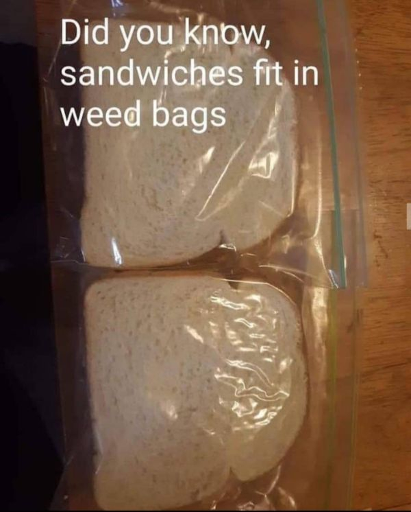 material - Did you know, sandwiches fit in weed bags